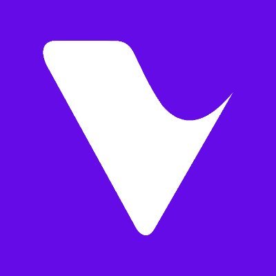 Virtua Org Chart + Executive Team