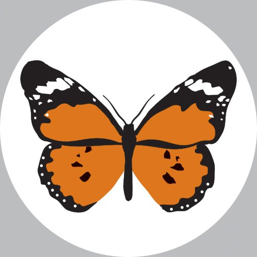 Org Chart Brimstone Investment Corporation The Official Board