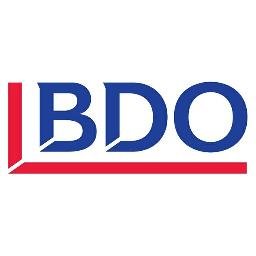 BDO UAE Org Chart + Executive Team