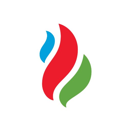 Socar Org Chart + Executive Team