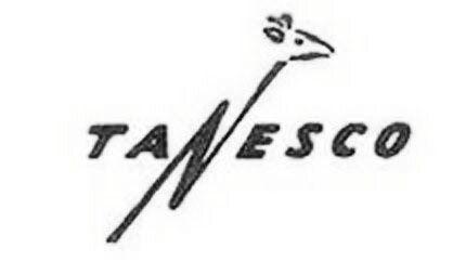 Tanesco Org Chart + Executive Team