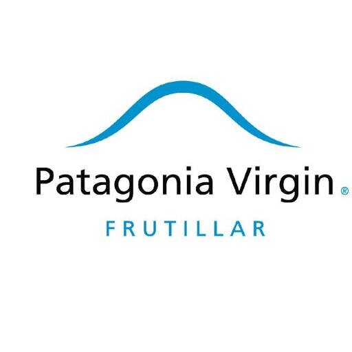 Patagonia Org Chart