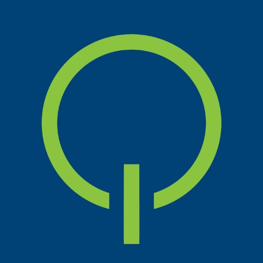 Org Chart BizEquity The Official Board