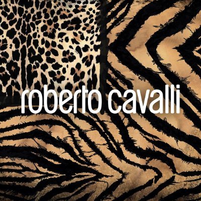 Org Chart Roberto Cavalli - The Official Board