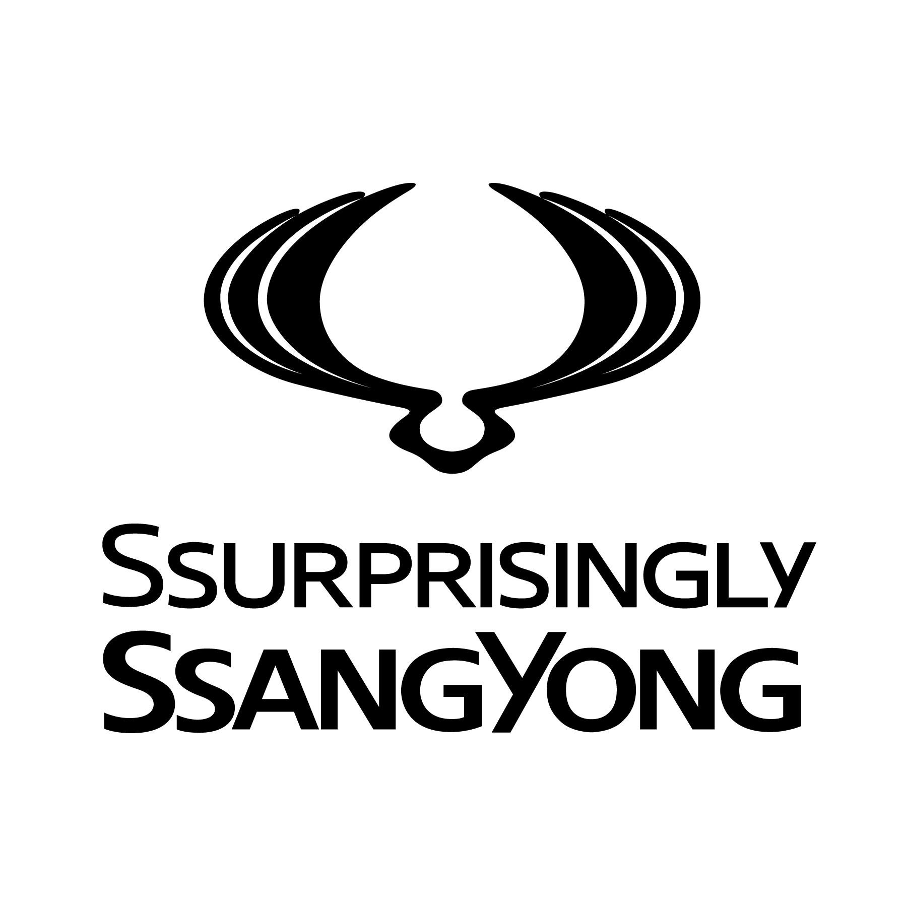 Ssangyong motor oil