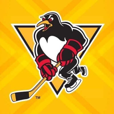 org chart wilkes barre scranton penguins the official board scranton wilkes barre yankees seating chart