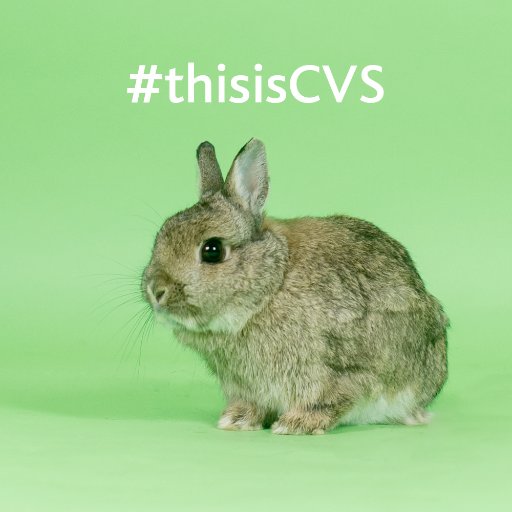 Org Chart CVS Group The Official Board